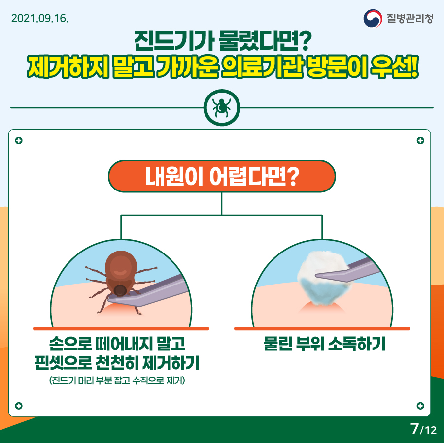 2021년 9월 16일. 질병관리청. 진드기가 물렸다면? 제거하지 말고 가까운 의료기관 방문이 우선! 내원이 어렵다면? - 손으로 떼어내지 말고 핀셋으로 천천히 제거하기(진드기 머리 부분 잡고 수직으로 제거) - 물린 부위 소독하기. 12페이지 중 7페이지